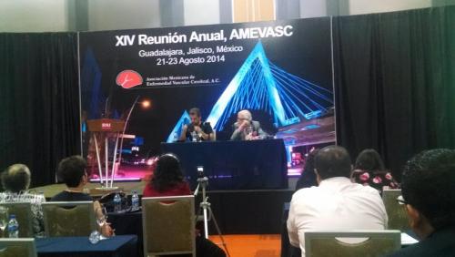 AMEVASC 2014 Guadalajara (3)