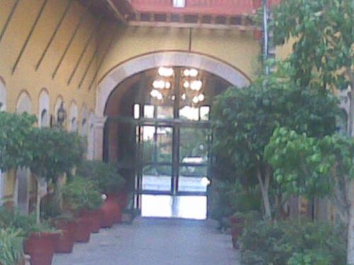 AMEVASC Zacatecas (1)