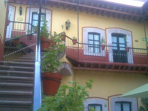 AMEVASC Zacatecas (2)