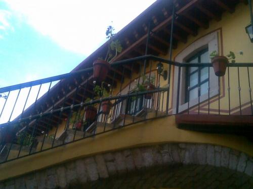 AMEVASC Zacatecas (3)